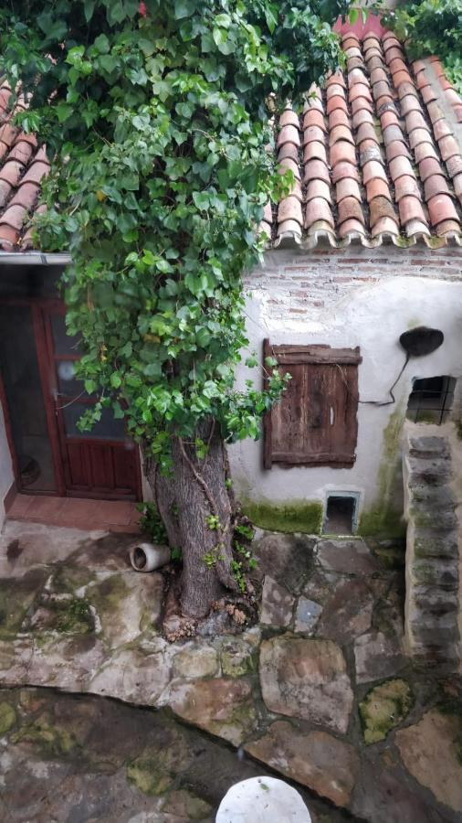 Airam Home Aragon, 7 Almansa Exterior foto